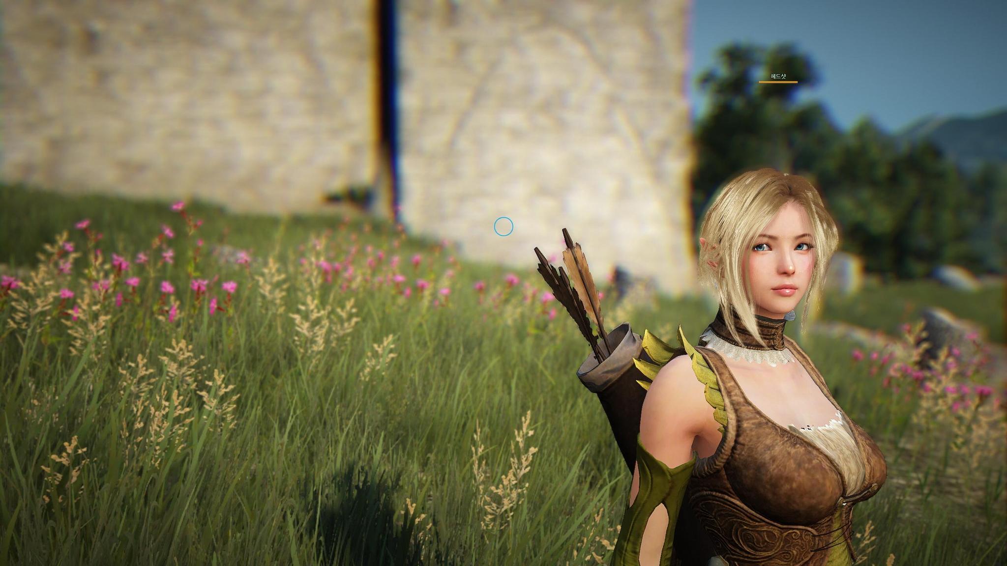 black_desert_online_screenshot_98607346.jpeg